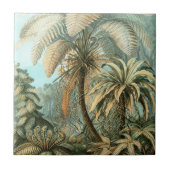 Fern (Filicinae) von Haeckel Fliese (Vorderseite)