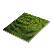 Fern Fine Art Fotograf Fliese (Seite)