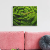 Fern Fine Art Fotograf Leinwanddruck (Insitu (Wohnzimmer))