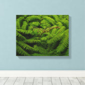 Fern Fine Art Fotograf Leinwanddruck (Insitu (Holzboden))