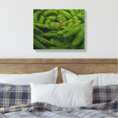 Fern Fine Art Fotograf Leinwanddruck (Insitu (Schlafzimmer))