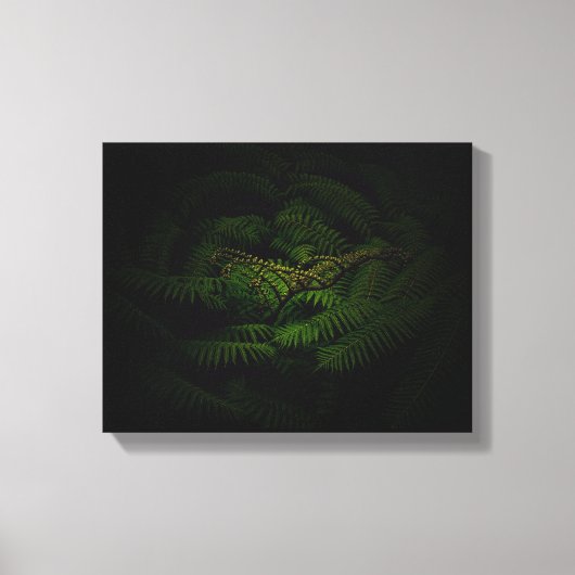 Fern Fine Art Fotograf Leinwanddruck (Vorderseite)