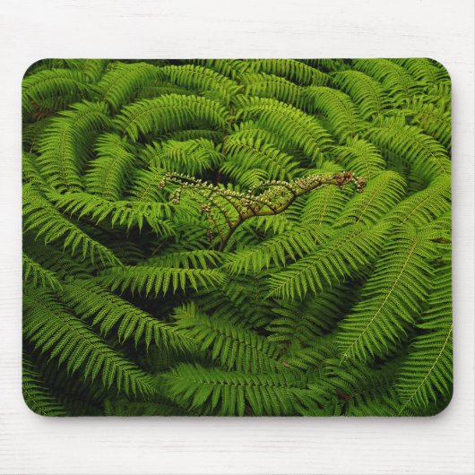 Fern Fine Art Fotograf Mousepad (Vorne)