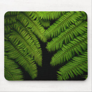 Fern Fine Art Fotograf Mousepad