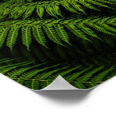 Fern Fine Art Fotograf Poster (Ecke)