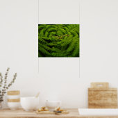 Fern Fine Art Fotograf Poster (Küche)