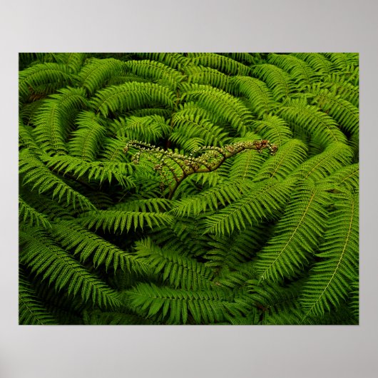 Fern Fine Art Fotograf Poster (Vorne)