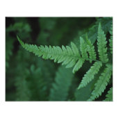 Fern Fotodruck (Vorne)