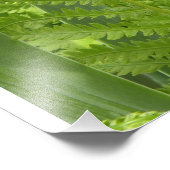 Fern Fotodruck (Ecke)