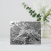 Fern Friendly Postkarte (Stehend Vorderseite)