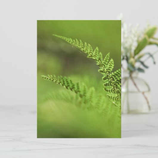 Fern Frond Foto Karte (Stehend Vorderseite)