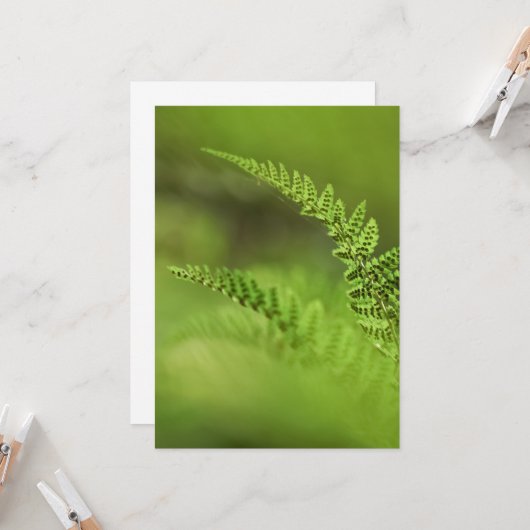 Fern Frond Foto Karte (Vorderseite/Rückseite Beispiel)