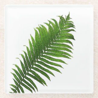 Fern frond glasuntersetzer