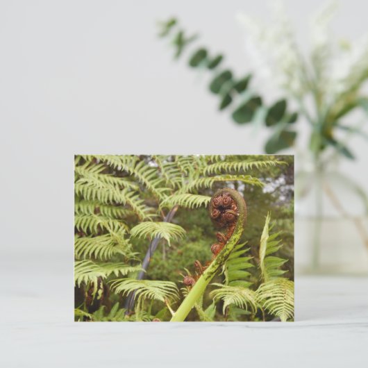 Fern Frond, New Zealand Postkarte (Stehend Vorderseite)