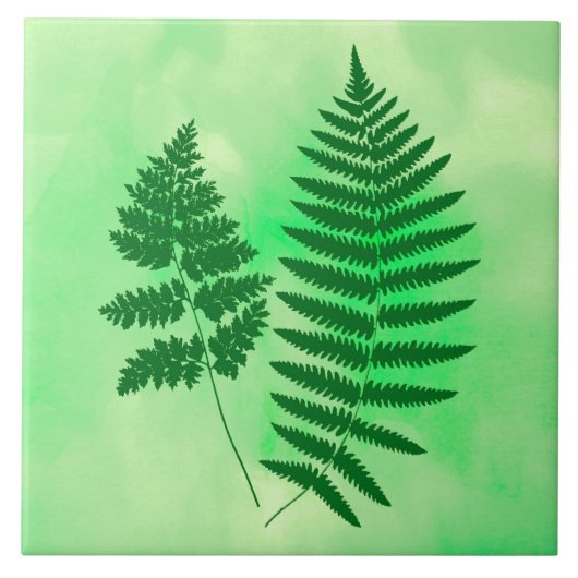 Fern Fronds, grün auf Aquarellboden Fliese (Vorderseite)