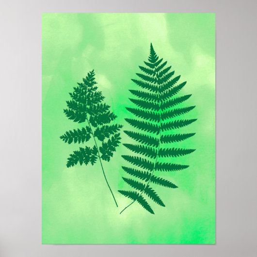 Fern Fronds, grün auf Aquarellboden Poster (Vorne)