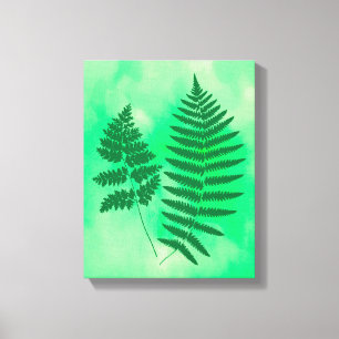 Fern Fronds, grün auf einem Aquarellfeld Canv Leinwanddruck