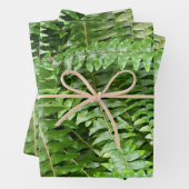 Fern Fronds I Green Nature Geschenkpapier Set (Beispiel)