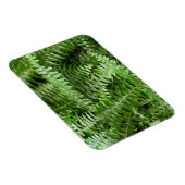 Fern Fronds I Green Nature Magnet (Rechte Seite)
