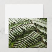 Fern Fronds II Dunkle grüne Natur (Vorne/Hinten)