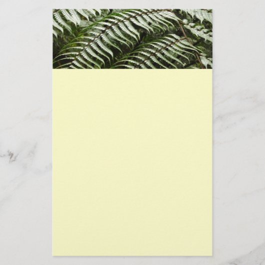 Fern Fronds II Dunkle grüne Natur Briefpapier (Vorderseite)