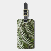 Fern Fronds II Dunkle grüne Natur Gepäckanhänger (Vorderseite vertikal)