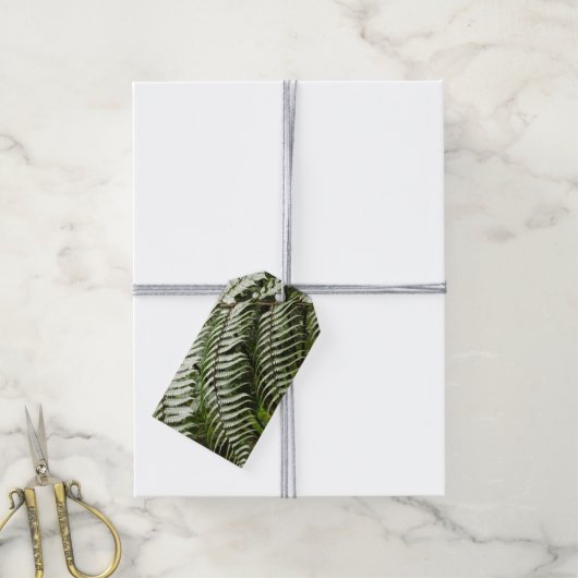 Fern Fronds II Dunkle grüne Natur Geschenkanhänger (Mit Garn)