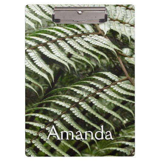 Fern Fronds II Dunkle grüne Natur Klemmbrett (Vorderseite)