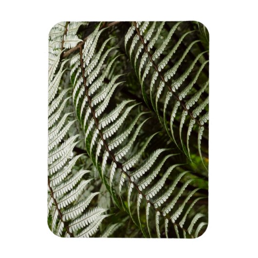 Fern Fronds II Dunkle grüne Natur Magnet (Vertikal)