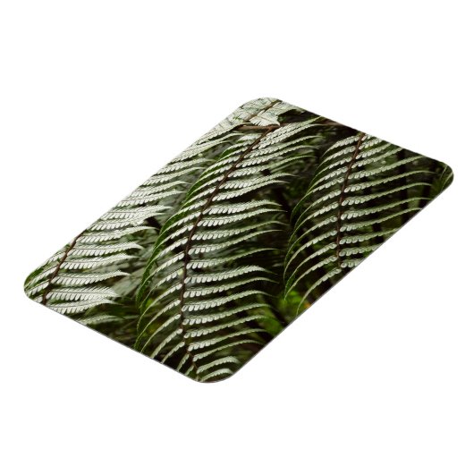 Fern Fronds II Dunkle grüne Natur Magnet (Linke Seite)