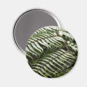 Fern Fronds II Dunkle grüne Natur Magnet (Vorderseite/Rückseite)