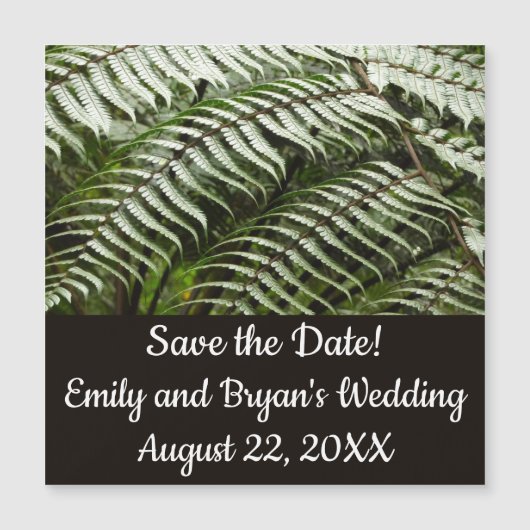 Fern Fronds II Dunkle grüne Natur Magnetkarte (Vorderseite)