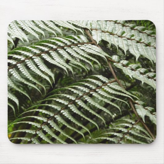Fern Fronds II Dunkle grüne Natur Mousepad (Vorne)