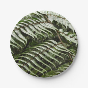Fern Fronds II Dunkle grüne Natur Pappteller