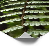 Fern Fronds II Dunkle grüne Natur Poster (Ecke)