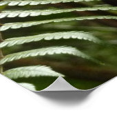 Fern Fronds II Dunkle grüne Natur Poster (Ecke)
