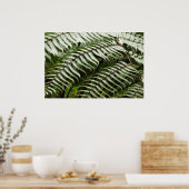 Fern Fronds II Dunkle grüne Natur Poster (Küche)