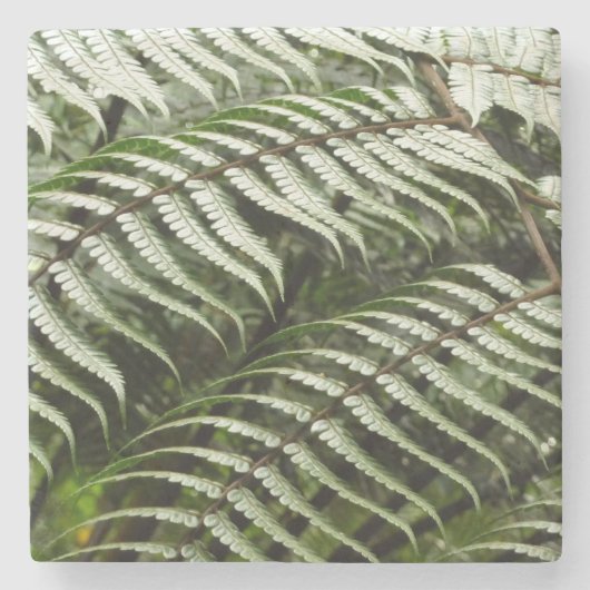 Fern Fronds II Dunkle grüne Natur Steinuntersetzer (Vorderseite)