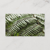 Fern Fronds II Dunkle grüne Natur Visitenkarte (Rückseite)