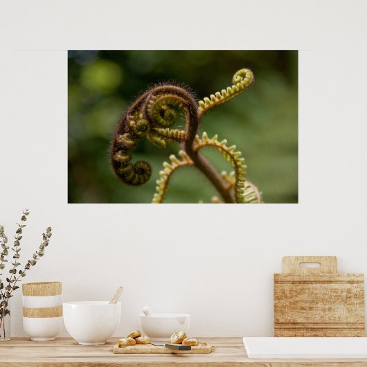 Fern Fronds Poster (Küche)