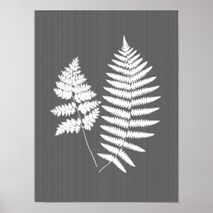 Fern Fronds, weiß auf Holzkohle grau / grau Poster