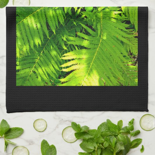 Fern Geschirrtuch (Gefaltet)