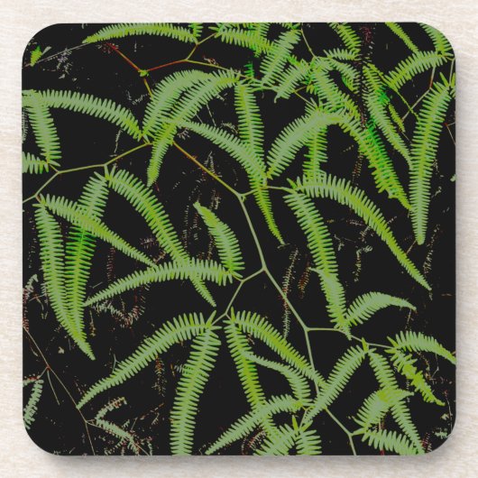 Fern Getränkeuntersetzer (Vorderseite)