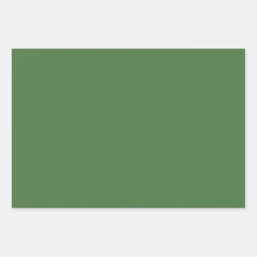 Fern Green Solid Color Geschenkpapier Set (Vorderseite 3)