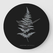 Fern - Gymnogramma Chrysophylla. Röntgeneffekt - 0 Große Wanduhr (Vorderseite)