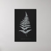 Fern - Gymnogramma Chrysophylla. Röntgeneffekt - 0 Leinwanddruck (Vorderseite)