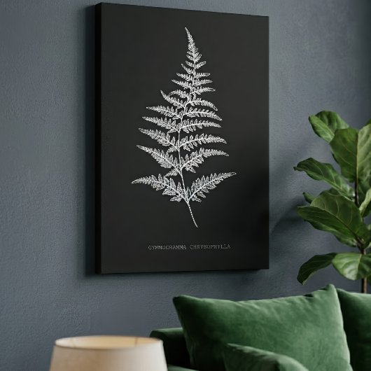 Fern - Gymnogramma Chrysophylla. Röntgeneffekt - 0 Leinwanddruck