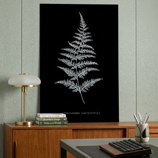 Fern - Gymnogramma Chrysophylla. Röntgeneffekt - 0 Poster