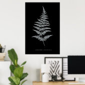Fern - Gymnogramma Chrysophylla. Röntgeneffekt - 0 Poster (Heimbüro)