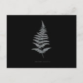 Fern - Gymnogramma Chrysophylla. Röntgeneffekt - 0 Postkarte (Vorderseite)